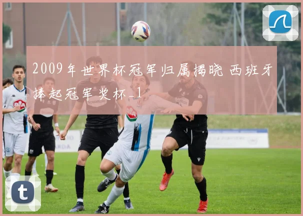 2009年世界杯冠军归属揭晓 西班牙捧起冠军奖杯_1